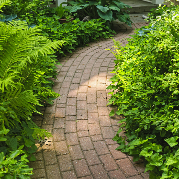 Paving can transform your outdoor space